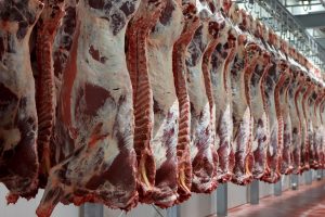 Deuren ter afsluiting vleesindustrie